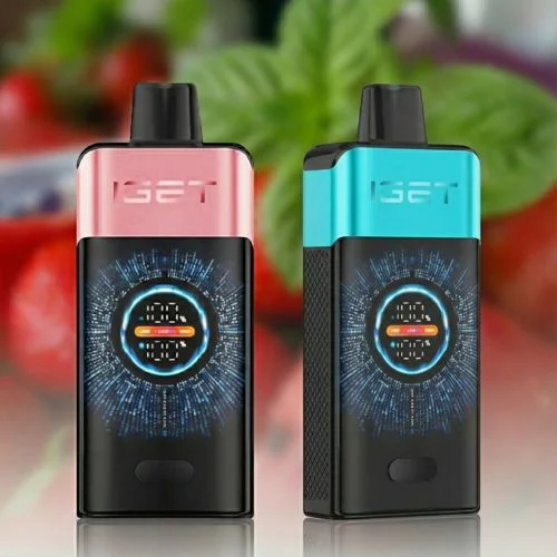 3-1 IGET One 12000 Puffs 2-Pack Bundle - Image 1